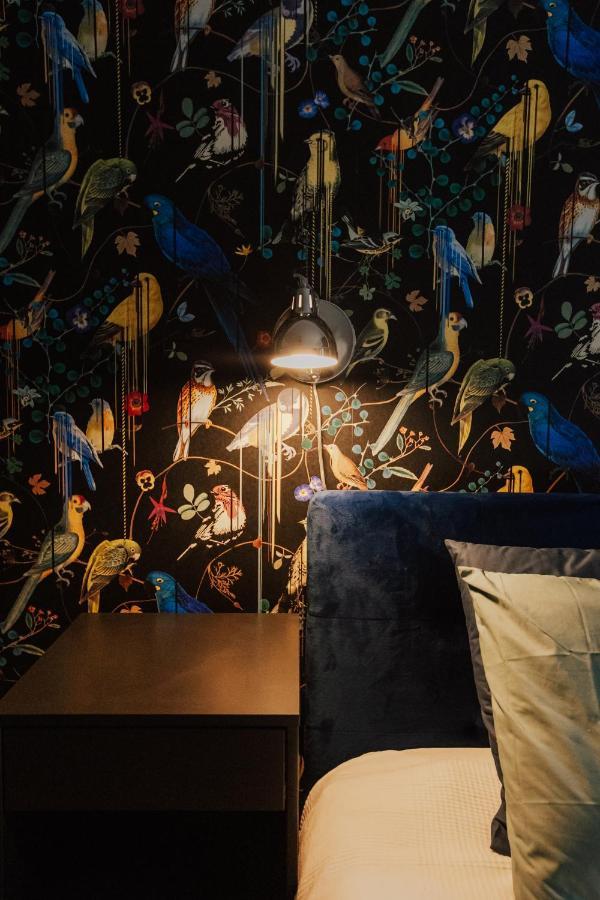 Apartament Rynek Wiezienna Vratislav Exteriér fotografie